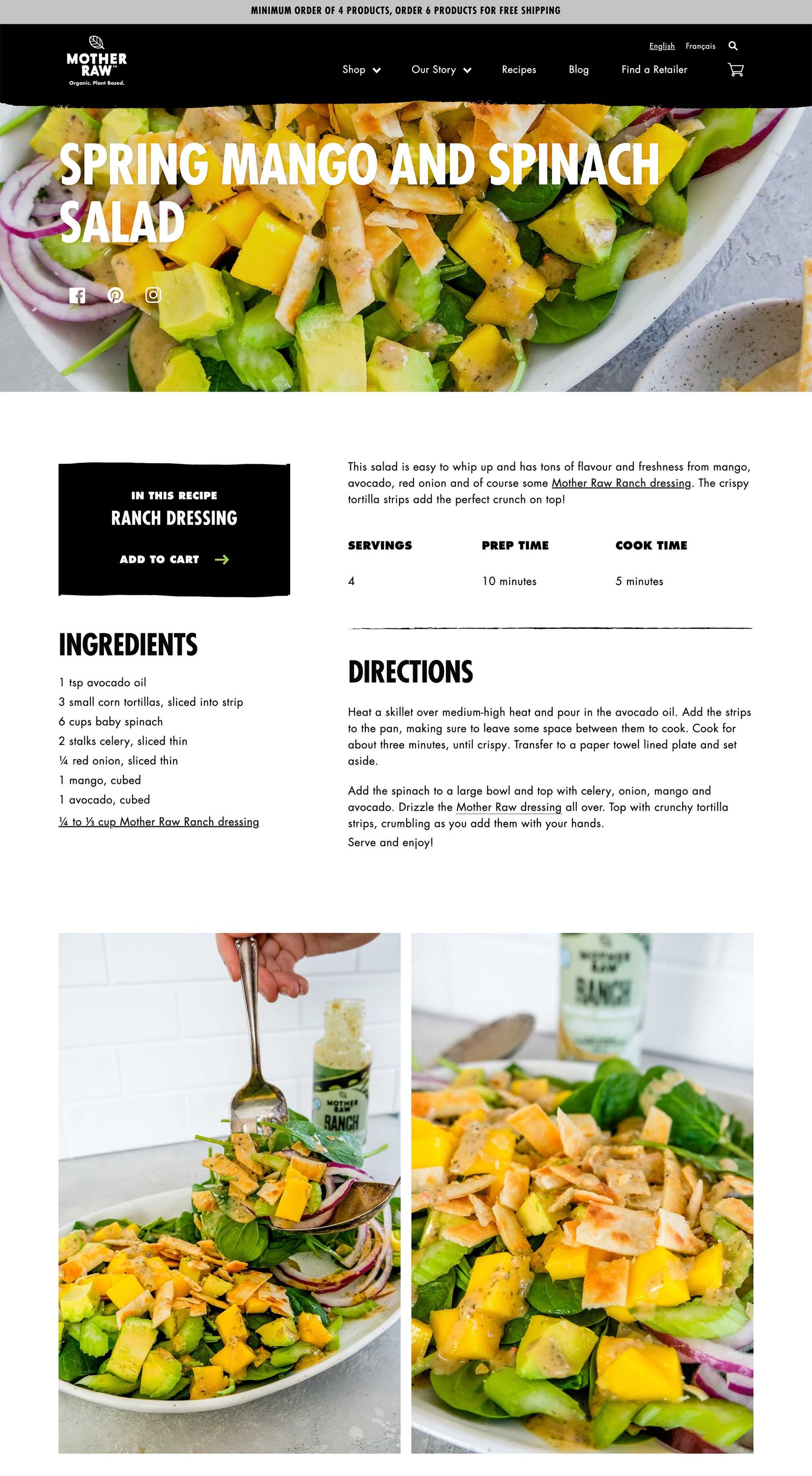 Screenshot of the mother raw single blog post